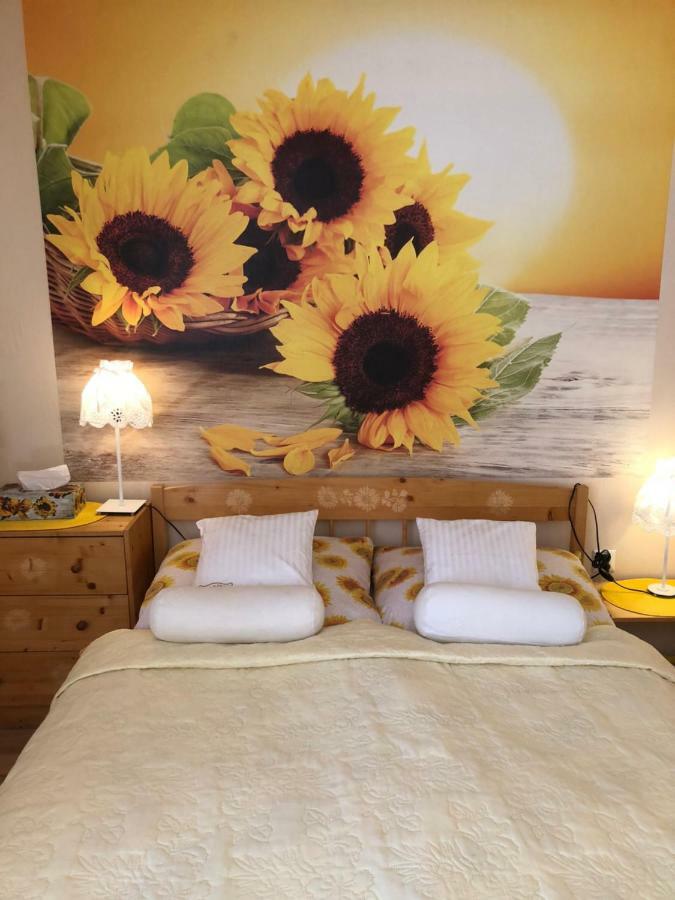 Bed and Breakfast Ranczo Frodyma Строне-Шльонське Екстер'єр фото